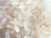 Ir 8 Rice Exporter India