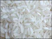 أرز متوسط ​​الحبة