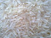 PPT Rice