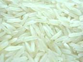Pr 11 Raw Long Grain Rice 2 Vishnu Rice Mill Pr 11 Raw Long Grain Rice Exporter India