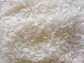 ir 36 Rice From India